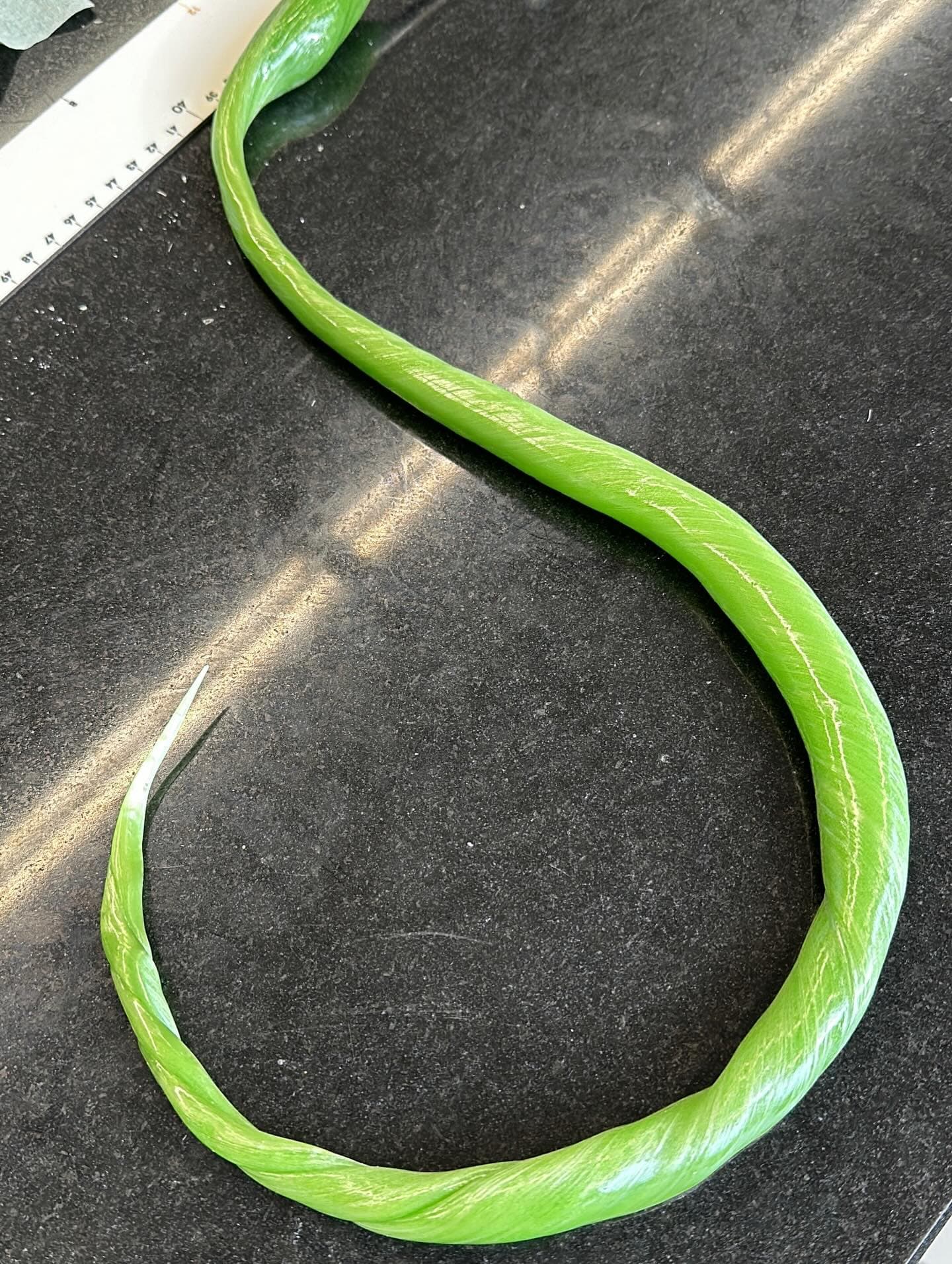 Pulled sugar stem in progress